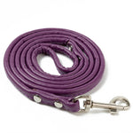 Dog Leashes lead Fashion PU leather Rope leash For Small Dogs Cat Collar Leash For Walking Outdoor