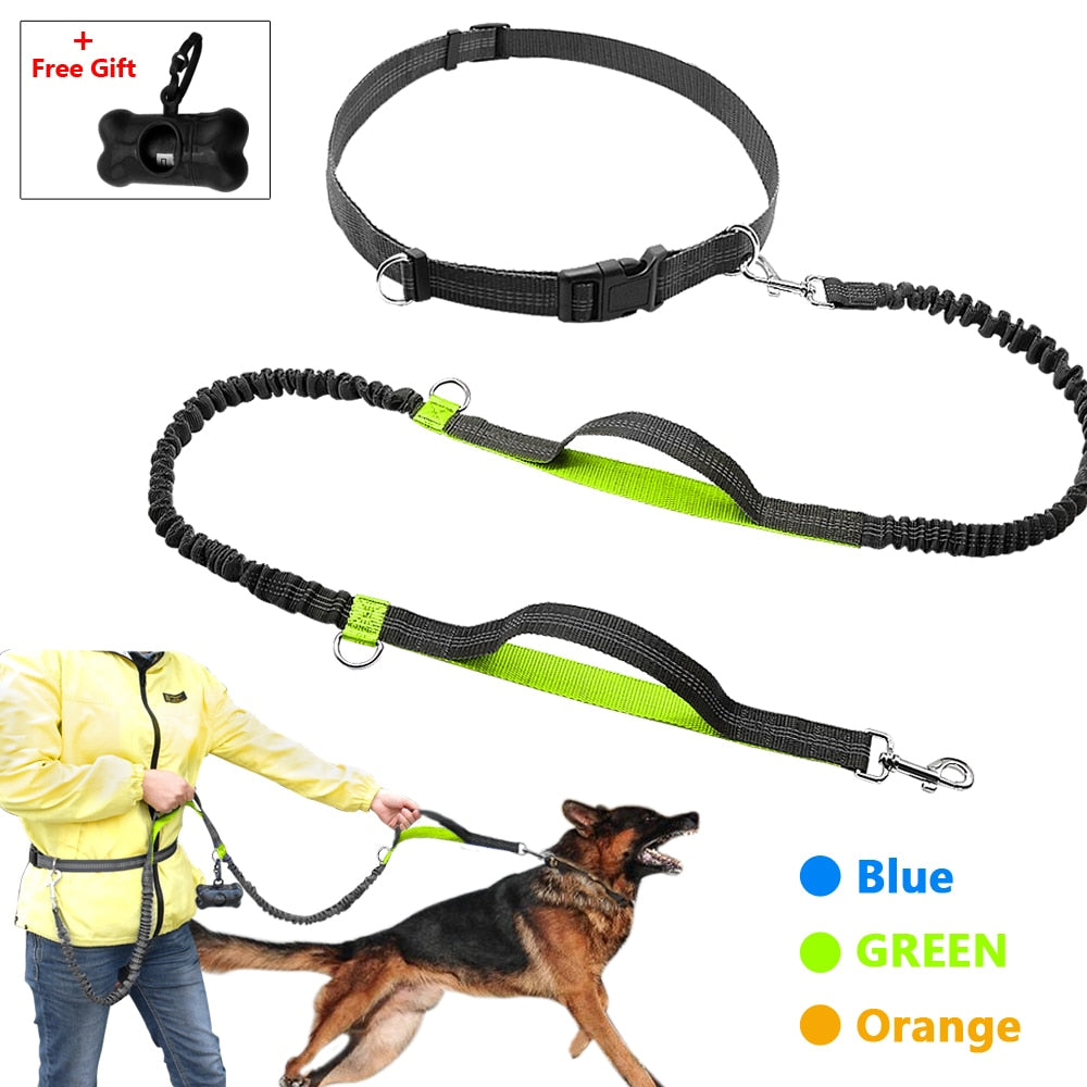 Retractable Hands Free Dog Leash for Running Dual Handle Bungee Leash Reflective For Up to 150 lbs Large Dogs Free Bag Dispenser